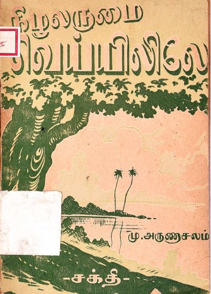 cover image