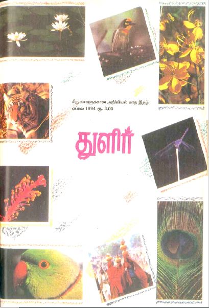 cover image