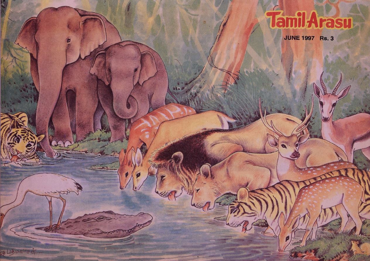 cover image