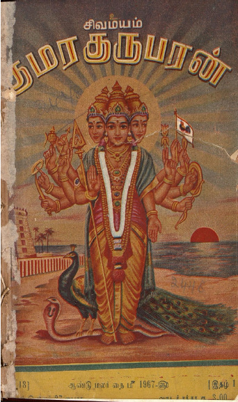 cover image
