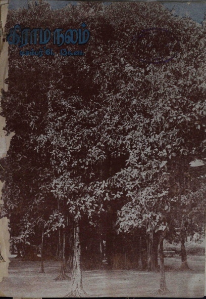 cover image