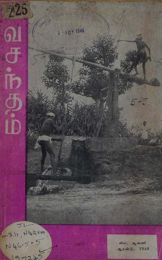 cover image