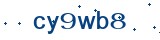 Captcha_code