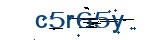 Captcha_code
